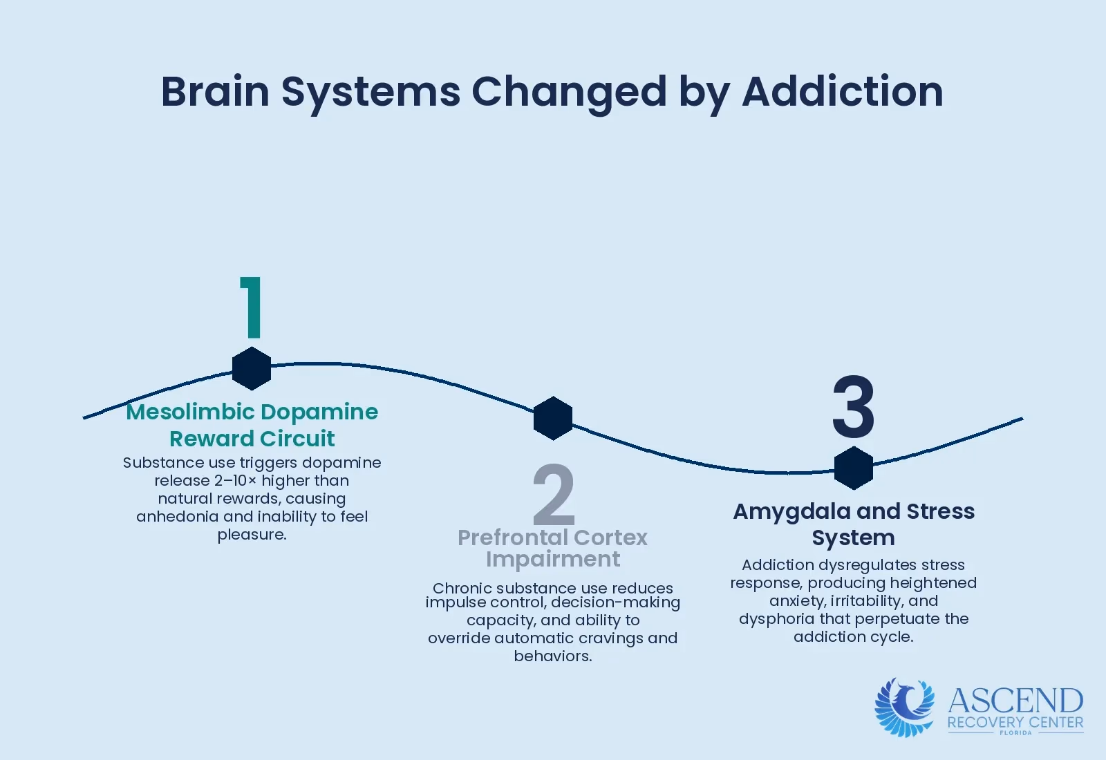 Infographic showing the three interconnected brain systems that undergo measurable changes in addiction