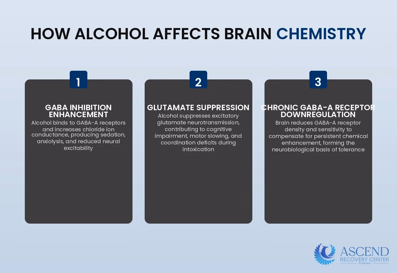 Infographic showing the neurochemical mechanisms by which alcohol produces intoxication and drives chronic dependence through GABA and glutamate neurotransmitter system changes. Infographic showing the neurochemical mechanisms by which alcohol produces intoxication and drives chronic dependence through GABA and glutamate neurotransmitter system changes.