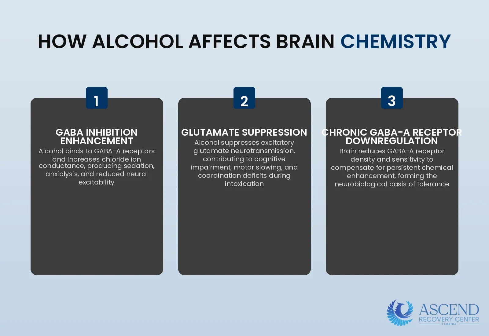 How Does Alcohol Affect the Brain? — Signs and Symptoms of Alcohol Addiction | Ascend Recovery Center How Does Alcohol Affect the Brain? — Signs and Symptoms of Alcohol Addiction | Ascend Recovery Center