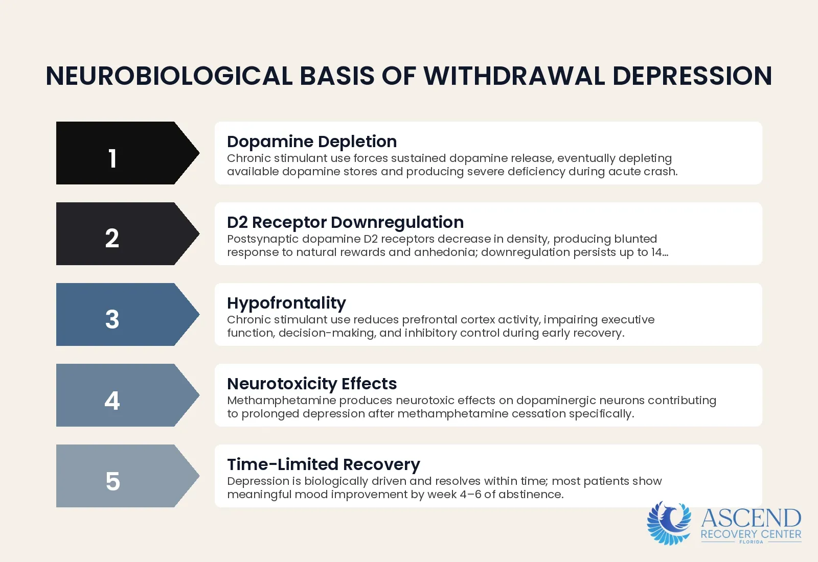 Why is depression so severe during stimulant withdrawal? — Stimulant Detox: Cocaine & Methamphetamine Withdrawal | Ascend Recovery Center Why is depression so severe during stimulant withdrawal? — Stimulant Detox: Cocaine & Methamphetamine Withdrawal | Ascend Recovery Center