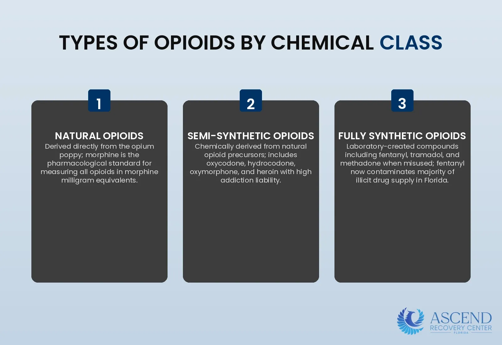 What Are All the Types of Opioids That Cause Addiction? — Opioid Addiction Treatment: MAT, Therapy & Recovery | Ascend Recovery Center