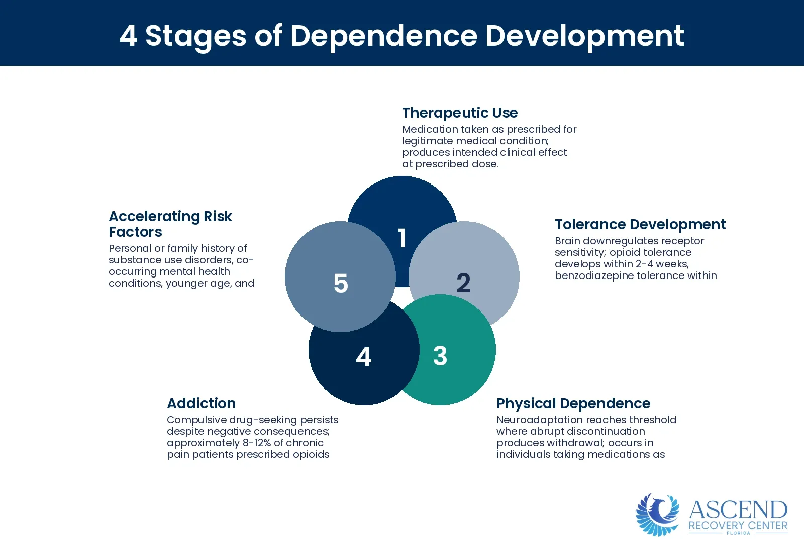 How Does Prescription Drug Dependence Develop? — Prescription Drug Addiction: Taper & Behavioral Therapy | Ascend Recovery Center